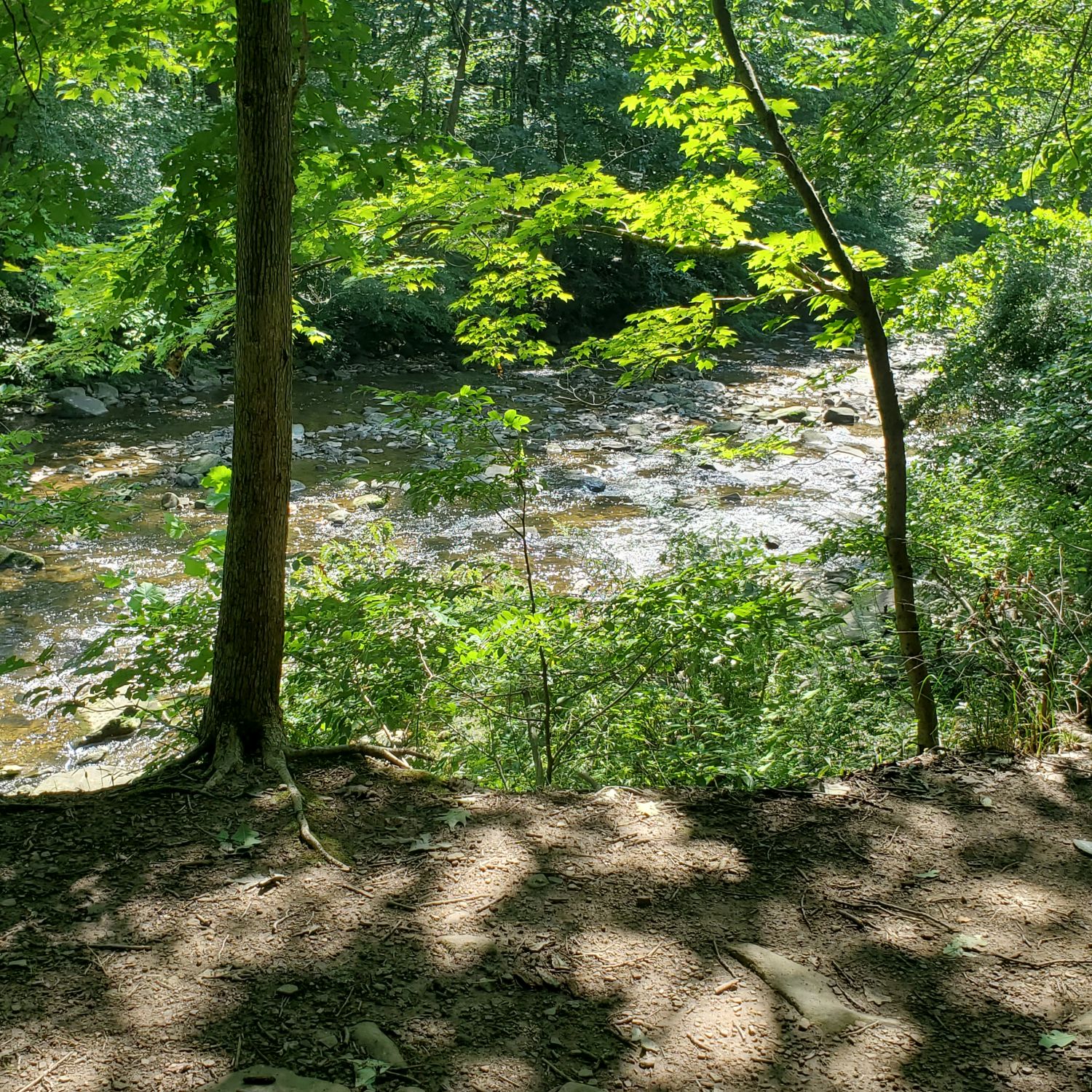 Stanford and Brandywine Gorge Trails 